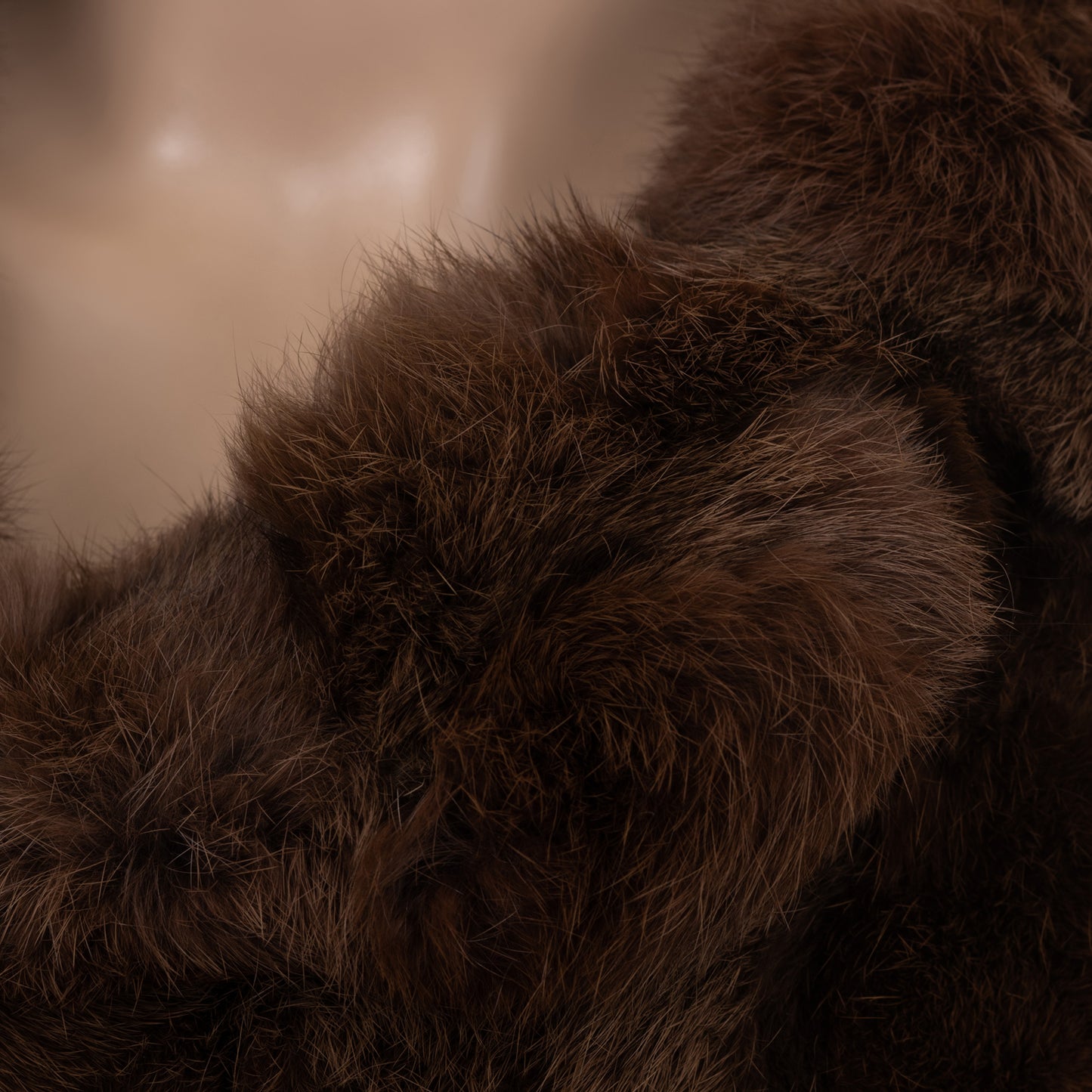 Brown Fur Coat