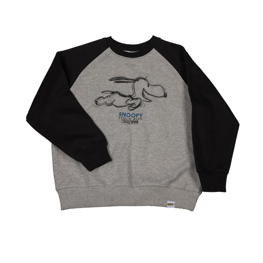 Zara Brand New Hoodie For Boys