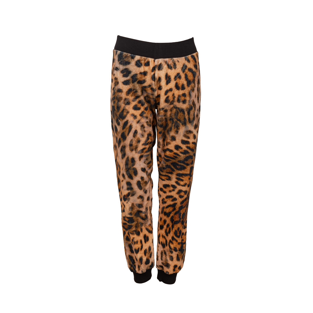 Zara Trafaluc Brand New Pants