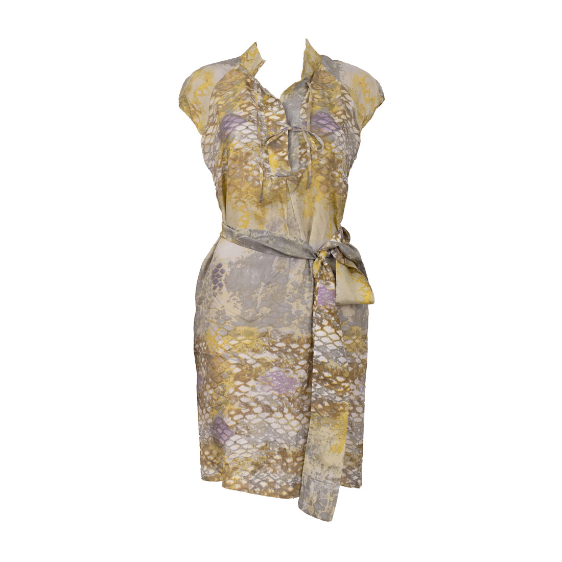 Adolfo Dominguez Dress