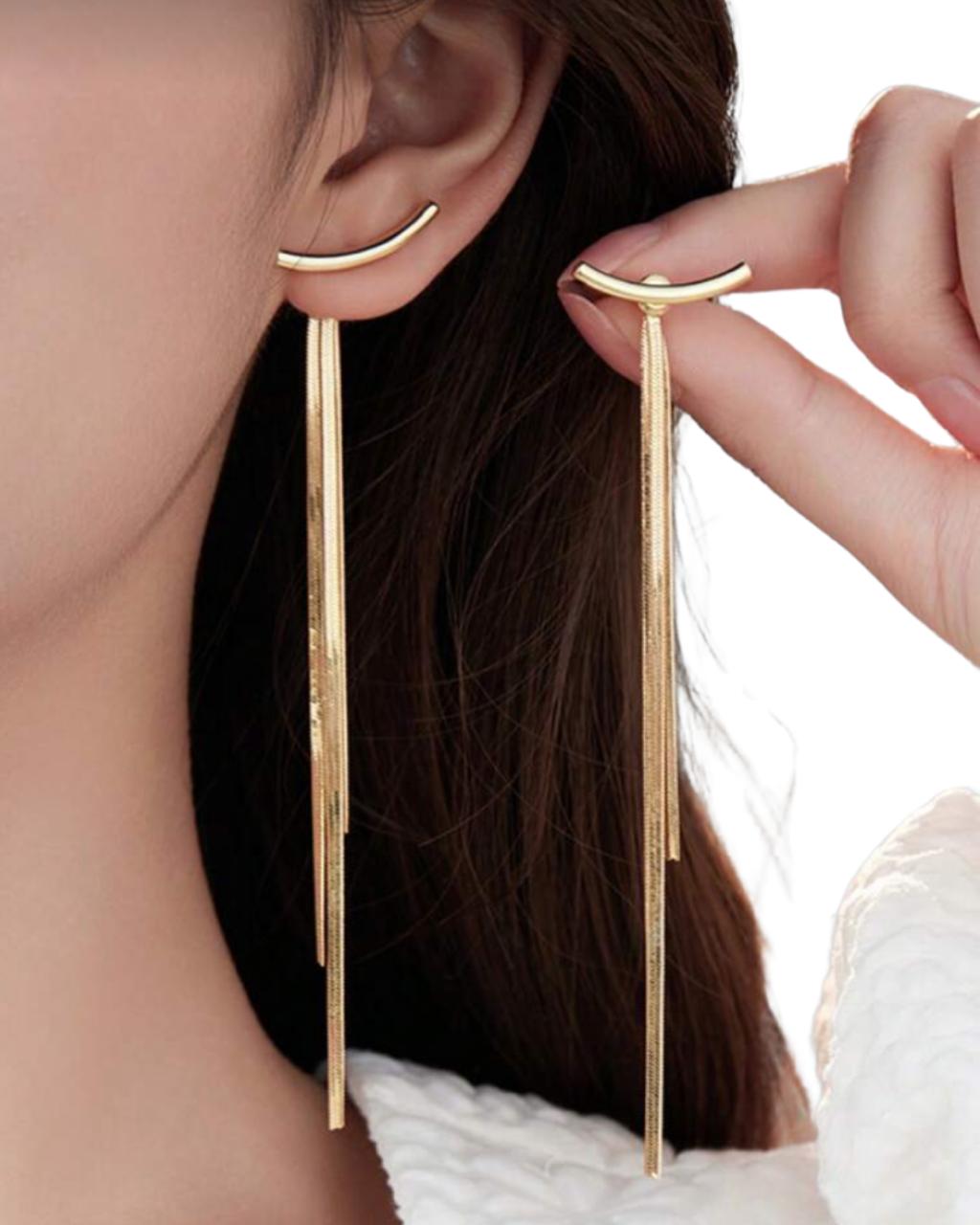 1 Pair Creative Tassel Earrings With Minimalistic Snake Bone Design For Women
