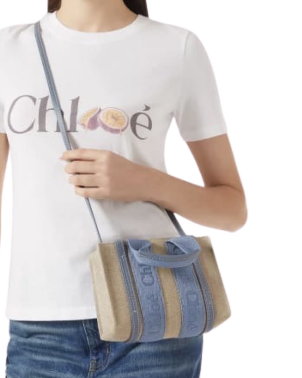 Chloé Woody Mini Tote Bag in Linen Canvas & Calfskin